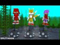 Sonic And Tails - The Wheel of Fortune Sad Ending - FNF Minecraft Animation
