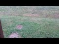 Hail storm Mayodan Part 2. 5/31/19