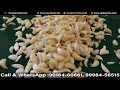 रोज 2000 कमाओ Garlic Peeling Business 🔥😍 | New Business Ideas 2022 | Small Business Ideas | Garlic