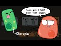 Prokaryotic vs. Eukaryotic Cells (Updated)