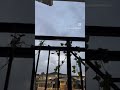 Writing Background Ambience with a Balcony Thunderstorm