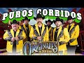 Los Originales De San Juan 🎵 Puros Corridos Originales 💥 Musica Corridos Mix