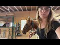 How To Halter A HorsePower Horse Using A Rope Halter - Volunteer Training Video