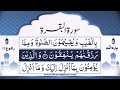 Surah Al Baqarah 09