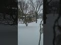 Toronto Snowstorm
