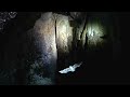 Bats in Slow Motion, Rock Spring, Jamaica