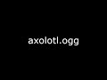Minecraft - axolotl.ogg (Update Aquatic)