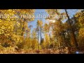 90 Minute 4K Nature Experience: 