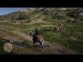 [RDR2] Horses are weird