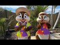 We Meet Chip and Dale at Disney Lookout Cay at Lighthouse Point in NEW Costumes - Disney Cruise Line