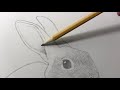 How to Draw a Rabbit: Narrated, Step-by-Step