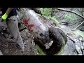 Antique Bottle Digging in a MASSIVE Village Dump! Creek Walking Leads us to THOUSANDS of Bottles!!