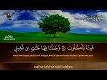 سورة يس كاملة ( أستمع واقرأ ) من أروع ما جود الشيخ عبد الباسط عبد الصمد 💖 Surah Ya-Sin