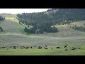 El valle de Lamar en el parque nacional de Yellowstone