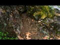 A Forest Walk Up Hamilton Mountain - No Talk, No Music, Just Nature. - 4K Virtual Hike