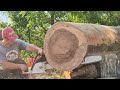 Test cuts with Stihl 064