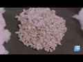 How Cotton is Processed in Factories | How It’s Made