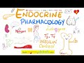 Cell Signal Transduction | A Preview | Endocrinology Series