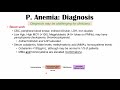 Pernicious Anemia (Rare Cause of Vitamin B12 Deficiency) | Causes, Symptoms, Diagnosis, Treatment