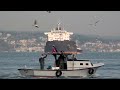 9 Ships Passing the Bosphorus | No Music!