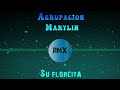Agrupación Marilyn - Su Florcita | REMIX