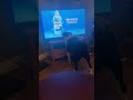 Dog barking at tv ads.