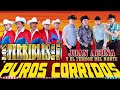 Los Terribles Del Norte vs Juan Acuña y El Terror Del Norte 🔥Puros Corridos Exitoss