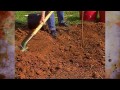 Tree Planting in Heavy Clay