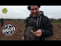 East Of England Rallies Weekender | Metal Detecting UK | Viking, Saxon And Gold Found | #wow #viking