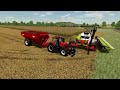 Efficient Corn and Sunflower Harvesting with Wide-Span Vehicle System | Zielonka Farm | FS 22 | #30