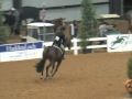 20k USHJA Hunter Derby Jacksonville 2011 Winner