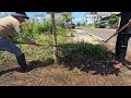 Clean up Overgrown Weeds on Sidewalk ASMR. AMAZING Transformation!
