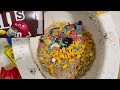 Will it Flush? - Coca Cola, Fanta, Mentos, McDonalds and M&M's