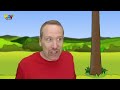 Body Magic Story for Kids from Steve and Maggie | Learn with Maggie and Wow English TV