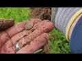 Metal detecting at a river side park in East Tennessee.   | Minelab Equinox 900.