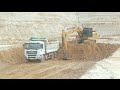 Regular work of dump truck and Excavator cat 320gx