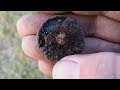 🪙💰Old School Sledding Hill Finds.. #94 #metaldetecting #minelab #treasure #mass #viralvideo #413