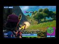 Fortnite Eliminations and Victory Royales
