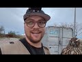 Falconry Goshawk Catches 2 rabbits