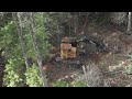 Tigercat LX830D Feller Buncher; first step in forest harvesting.