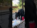 The bear cleared the plate 😂