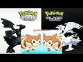 Furret Walk (Accumala town) - Pokémon Black and White OST