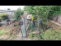 Almighty Post-Apocalyptic Garden Nightmare Restored | Helping a Disabled Lady