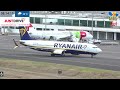 LIVE MADEIRA AIRPORT