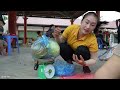 Harvesting Tien Peach Fruit Goes to the market sell - Help people harvest rice | Ly Thi Tam