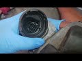 mercedes vapor canister and vent solenoid location and removal