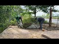 The sidewalk was unusable, so I volunteered to clear the weeds. | Quick cleanup.