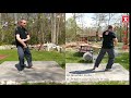 Zheng Man Qing's 37 Movements Postures Shoulder Strike and White Crane Spreads Wings