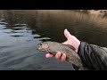 Getting Lost on the White River | Fly Fishing Beaver Tailwater