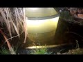 A nifty little aquaponics (bioponics) pond for a garden.